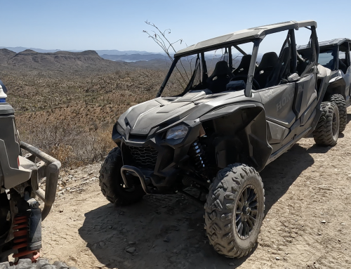 Best Things to Do Near Lake Pleasant